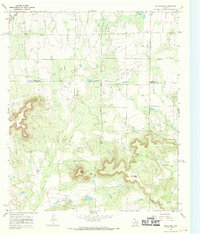 Download a high-resolution, GPS-compatible USGS topo map for Bald Knob, TX (1979 edition)