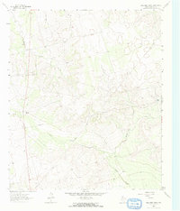 Download a high-resolution, GPS-compatible USGS topo map for Ballinger Ranch, TX (1964 edition)