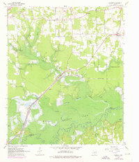 preview thumbnail of historical topo map of Bowie County, TX in 1965