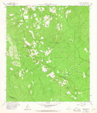 1958 Map of San Jacinto County, TX, 1965 Print
