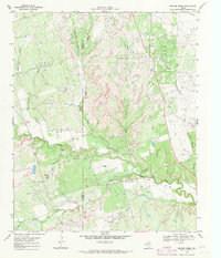 Download a high-resolution, GPS-compatible USGS topo map for Beaver Creek, TX (1971 edition)