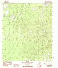 Download a high-resolution, GPS-compatible USGS topo map for Beech Grove, TX (1985 edition)