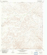 Download a high-resolution, GPS-compatible USGS topo map for Beef Gap, TX (1984 edition)