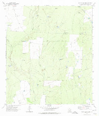Download a high-resolution, GPS-compatible USGS topo map for Beef Hollow Creek, TX (1974 edition)