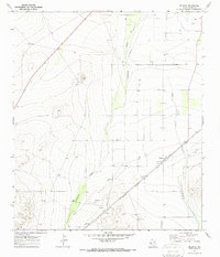 Download a high-resolution, GPS-compatible USGS topo map for Belding, TX (1987 edition)