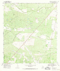 Download a high-resolution, GPS-compatible USGS topo map for Benavides NE, TX (1971 edition)