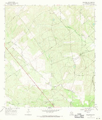 Download a high-resolution, GPS-compatible USGS topo map for Benavides NW, TX (1971 edition)