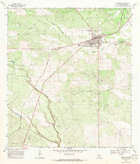 preview thumbnail of historical topo map of Benavides, TX in 1968