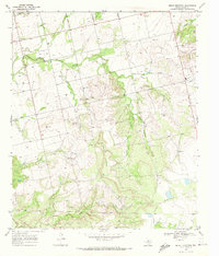 Download a high-resolution, GPS-compatible USGS topo map for Bench Mountain, TX (1972 edition)