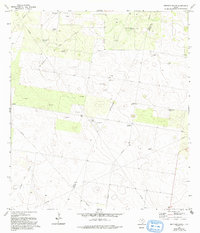 Download a high-resolution, GPS-compatible USGS topo map for Bentsen Ranch, TX (1993 edition)