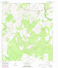Download a high-resolution, GPS-compatible USGS topo map for Berclair NW, TX (1987 edition)
