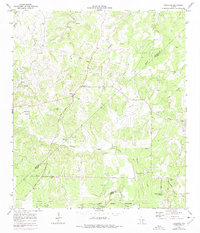 preview thumbnail of historical topo map of Comal County, TX in 1964