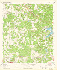 Download a high-resolution, GPS-compatible USGS topo map for Bernie Lake, TX (1969 edition)