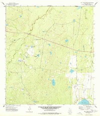 preview thumbnail of historical topo map of Webb County, TX in 1973