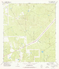 preview thumbnail of historical topo map of Webb County, TX in 1974