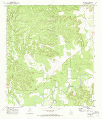 Download a high-resolution, GPS-compatible USGS topo map for Big Draw, TX (1973 edition)