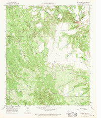 Download a high-resolution, GPS-compatible USGS topo map for Big Four Ranch, TX (1969 edition)