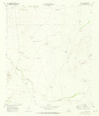 Download a high-resolution, GPS-compatible USGS topo map for Big Hill, TX (1973 edition)