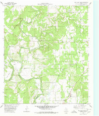Download a high-resolution, GPS-compatible USGS topo map for Big Valley North, TX (1980 edition)