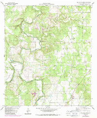 Download a high-resolution, GPS-compatible USGS topo map for Big Valley North, TX (1987 edition)