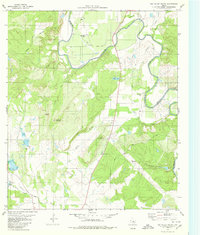 Download a high-resolution, GPS-compatible USGS topo map for Big Valley South, TX (1980 edition)
