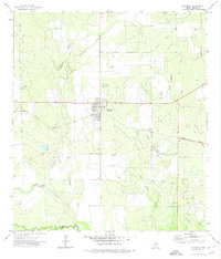 preview thumbnail of historical topo map of Big Wells, TX in 1972