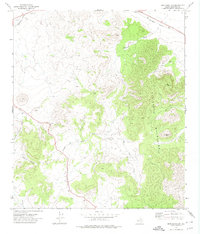 Download a high-resolution, GPS-compatible USGS topo map for Bird Mountain, TX (1974 edition)
