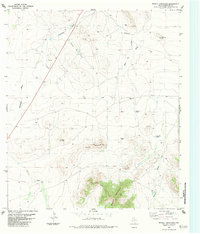 Download a high-resolution, GPS-compatible USGS topo map for Bissett Mountain, TX (1984 edition)