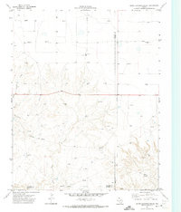 Download a high-resolution, GPS-compatible USGS topo map for Bivins Channing Ranch, TX (1973 edition)