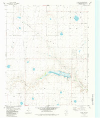 Download a high-resolution, GPS-compatible USGS topo map for Bivins Lake, TX (1984 edition)