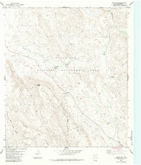 Download a high-resolution, GPS-compatible USGS topo map for Black Gap, TX (1984 edition)