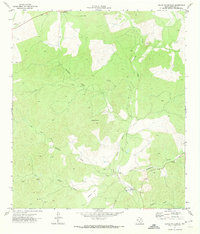 Download a high-resolution, GPS-compatible USGS topo map for Black Waterhole, TX (1974 edition)