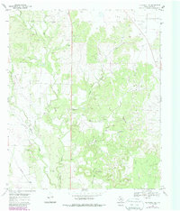 Download a high-resolution, GPS-compatible USGS topo map for Blackwell NE, TX (1987 edition)