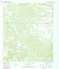 Download a high-resolution, GPS-compatible USGS topo map for Blackwell SW, TX (1987 edition)