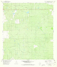 Download a high-resolution, GPS-compatible USGS topo map for Blancas Creek North, TX (1980 edition)