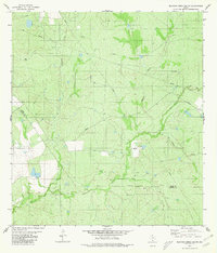 Download a high-resolution, GPS-compatible USGS topo map for Blancas Creek South, TX (1980 edition)