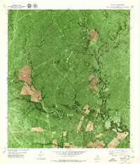 Download a high-resolution, GPS-compatible USGS topo map for Blanconia, TX (1979 edition)