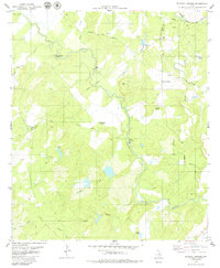 Download a high-resolution, GPS-compatible USGS topo map for Blanket Springs, TX (1980 edition)