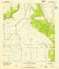 Download a high-resolution, GPS-compatible USGS topo map for Blessing SE, TX (1953 edition)