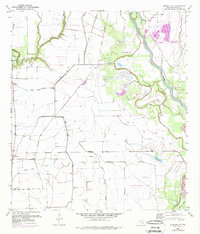 Download a high-resolution, GPS-compatible USGS topo map for Blessing SE, TX (1976 edition)