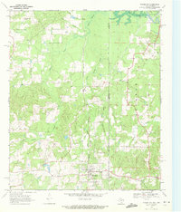 Download a high-resolution, GPS-compatible USGS topo map for Bloomburg, TX (1972 edition)