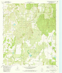 Download a high-resolution, GPS-compatible USGS topo map for Blucher Mountain, TX (1980 edition)