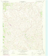 Download a high-resolution, GPS-compatible USGS topo map for Blue Tank Canyon, TX (1981 edition)
