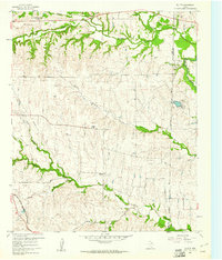 preview thumbnail of historical topo map of Wise County, TX in 1960