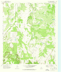 Download a high-resolution, GPS-compatible USGS topo map for Bluff Creek, TX (1976 edition)