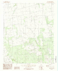 Download a high-resolution, GPS-compatible USGS topo map for Boggy Creek, TX (1984 edition)
