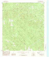 Download a high-resolution, GPS-compatible USGS topo map for Boggy Lake, TX (1984 edition)