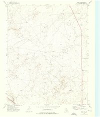 Download a high-resolution, GPS-compatible USGS topo map for Bolin NE, TX (1976 edition)