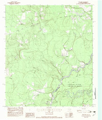 preview thumbnail of historical topo map of Newton County, TX in 1982