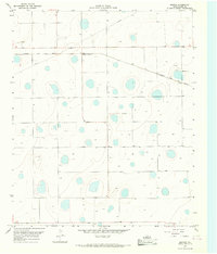 1965 Map of Floyd County, TX, 1968 Print